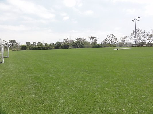 Field 4 Grass