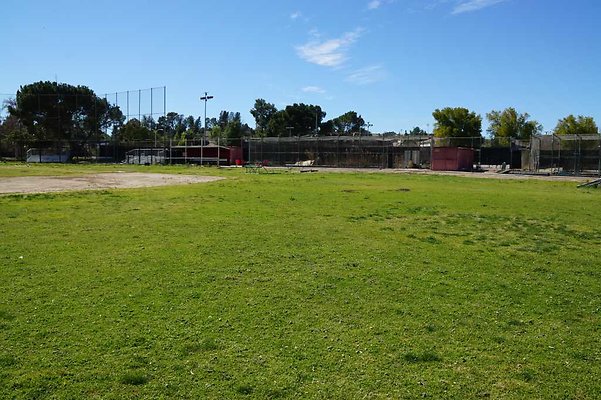 PierceSoftball 24