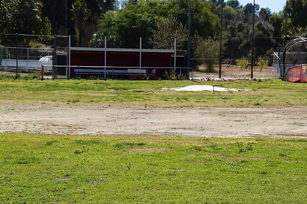 PierceSoftball 21
