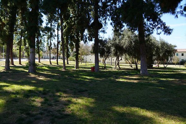 PierceQuadPark 03