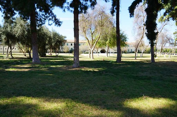 PierceQuadPark 04