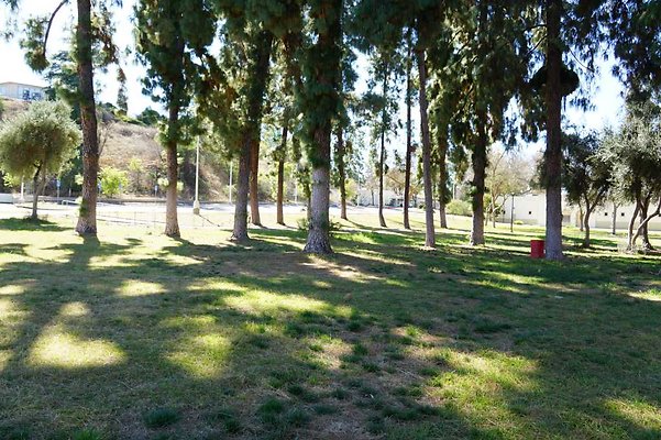 Pierce Quad Park