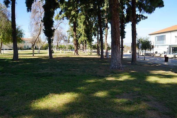 PierceQuadPark 05