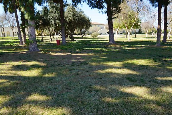 PierceQuadPark 10