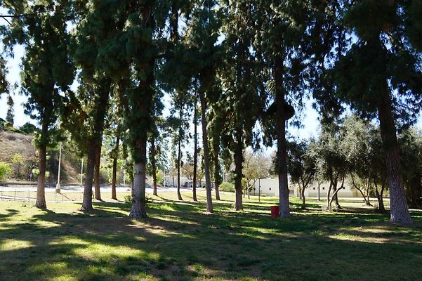 PierceQuadPark 02