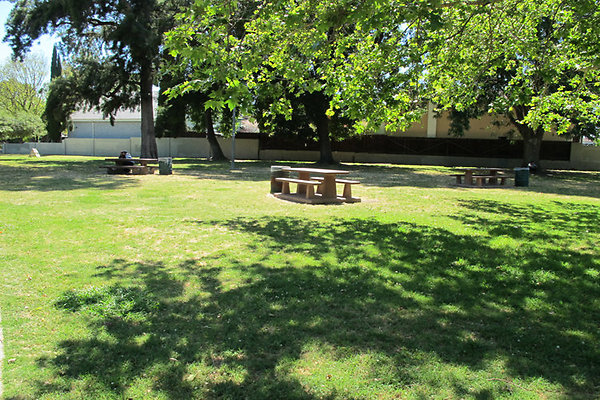 Picnic Areas-Uncovered-1