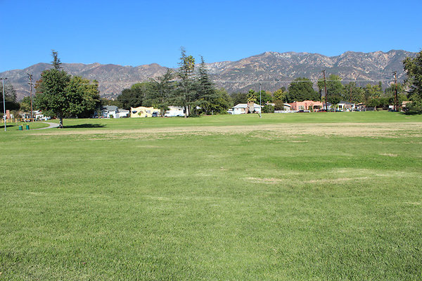 Grounds-Grass Areas-4