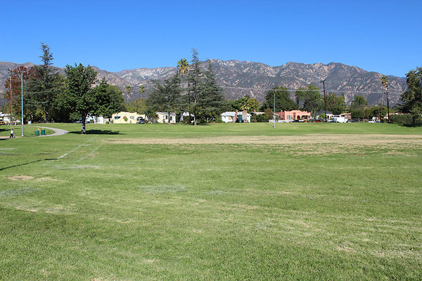 Grounds-Grass Areas-1