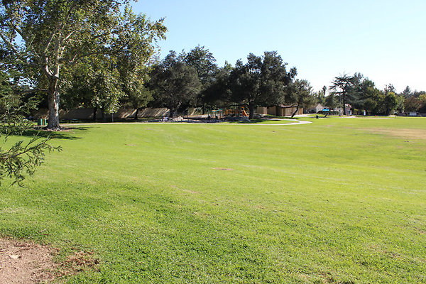 Grounds-Grass Areas-2
