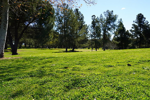 Vets.Park.Sylmar.Grass.01