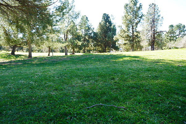 Vets.Park.Sylmar.Grass.16