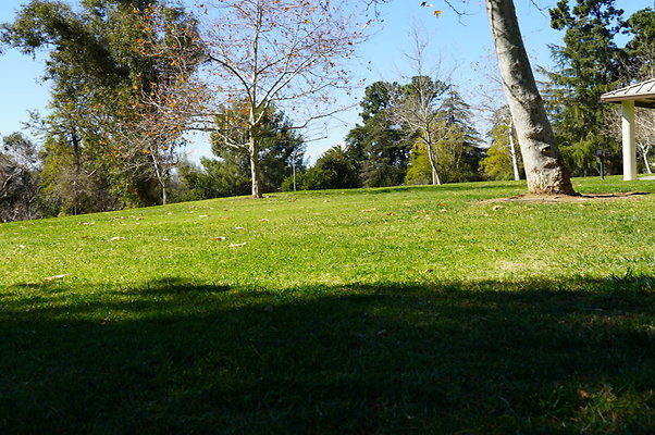Vets.Park.Sylmar.Grass.22