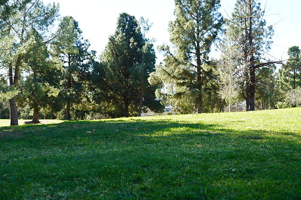 Vets.Park.Sylmar.Grass.19