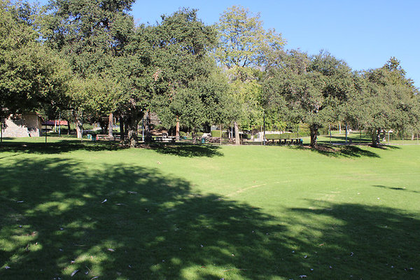Grounds-Grass Areas-9