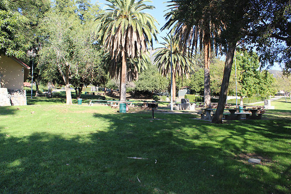 Grounds-Grass Areas-6