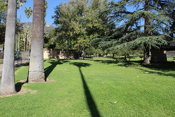 Grounds-Grass Areas-8