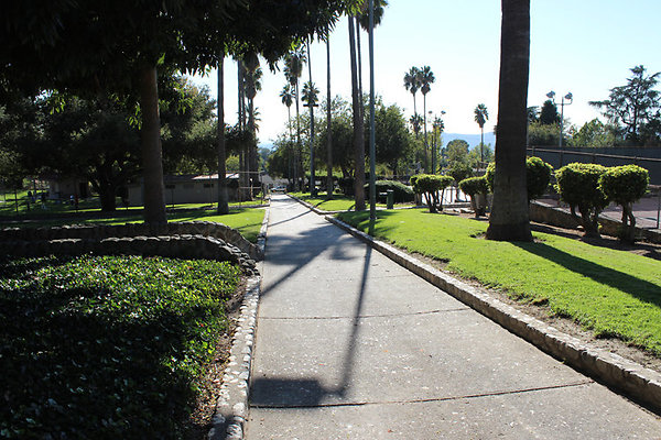 Pedestrian Walkways, Tunnels and Bridges-11