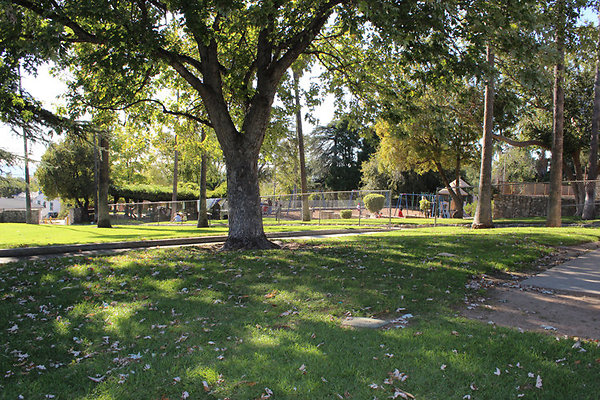 Grounds-Grass Areas-4