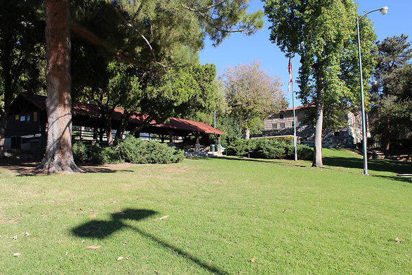 Grounds-Grass Areas-7