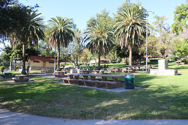 Picnic Areas-Uncovered-3