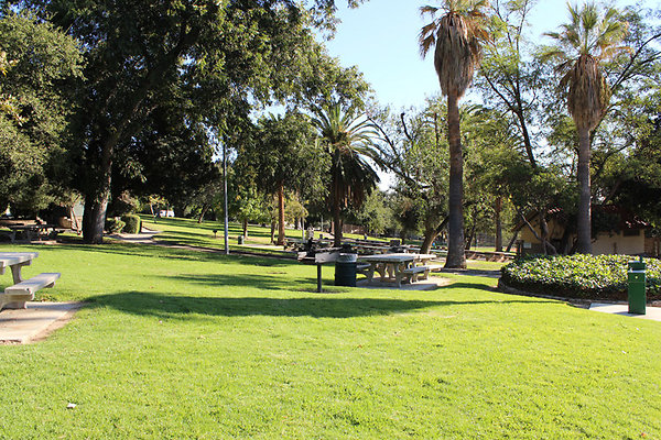 Grounds-Grass Areas-1
