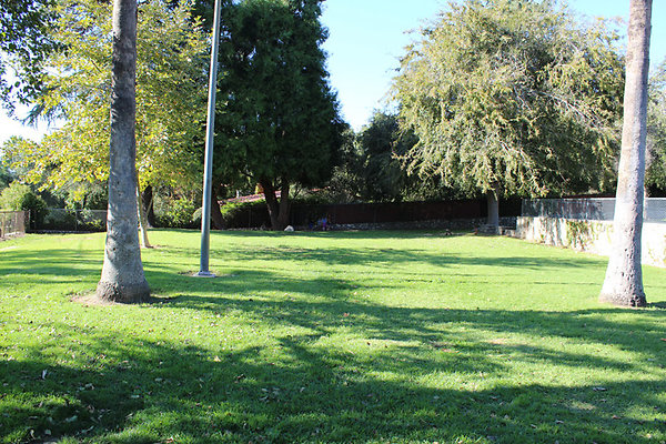 Grounds-Grass Areas-2