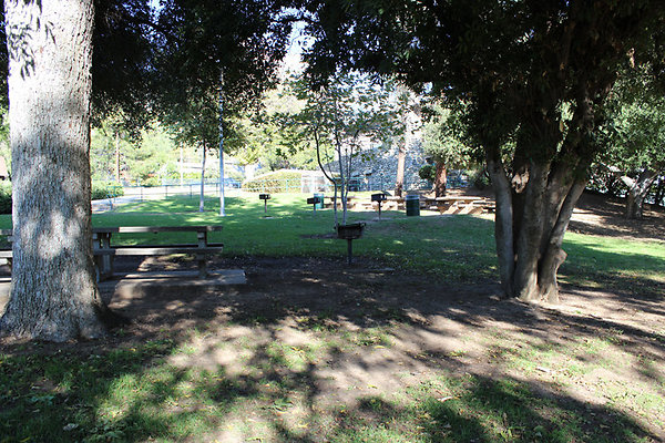Grounds-Grass Areas-15