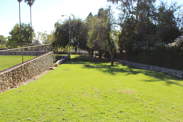 Grounds-Grass Areas-14