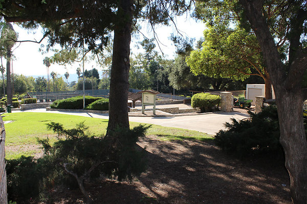 Grounds-Grass Areas-12