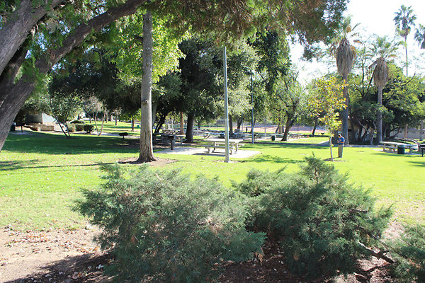 Grounds-Grass Areas-3