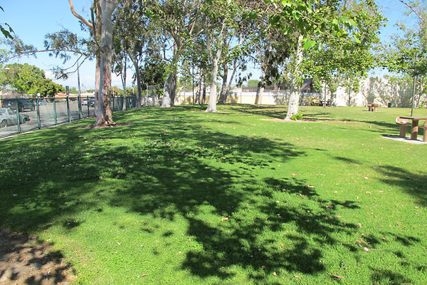 Grounds-Grass Areas-6