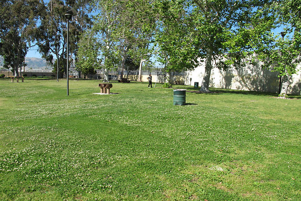 Grounds-Grass Areas-7