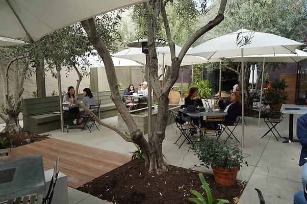Zinc.Cafe.Arts.039