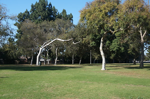 DSC03431