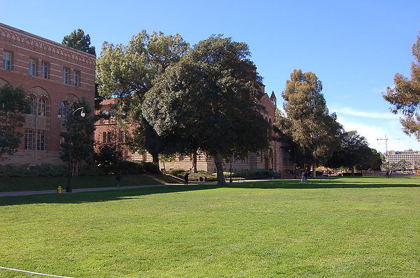 UCLA Quads.Lawns