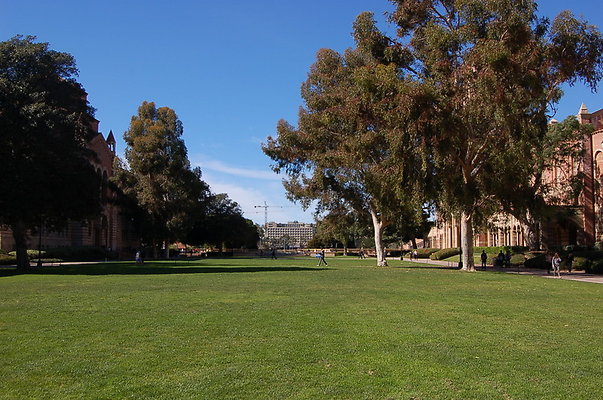 UCLA.Haines.Lawn.003