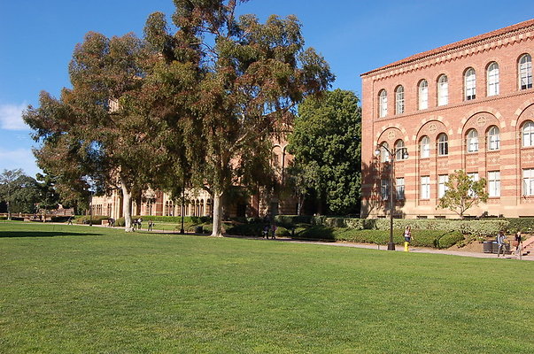 UCLA.Haines.Lawn.005