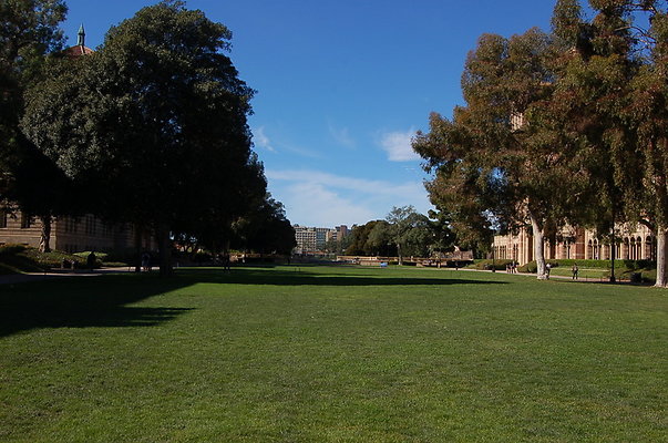 UCLA.Haines.Lawn.004