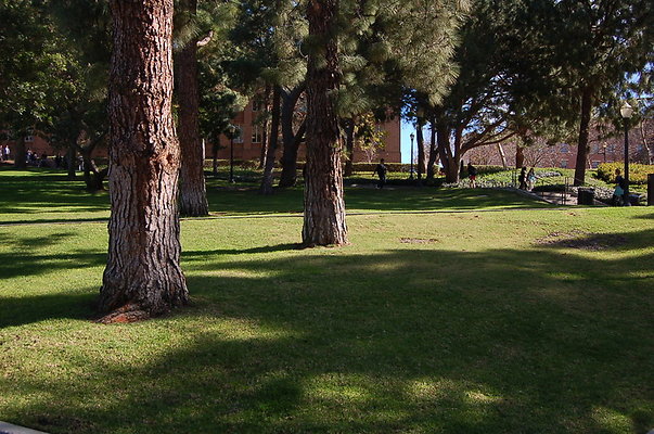 UCLA.Kerckoff.Fowler.Lawn.017