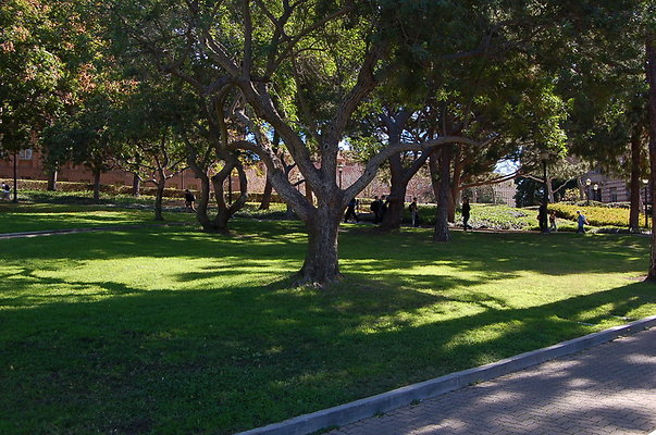 UCLA.Kerckoff.Fowler.Lawn.024