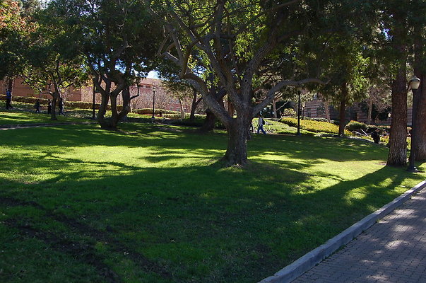 UCLA.Kerckoff.Fowler.Lawn.027