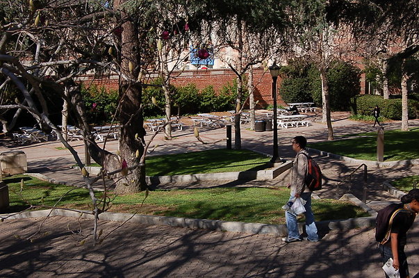 UCLA.Kerckoff.Fowler.Lawn.004