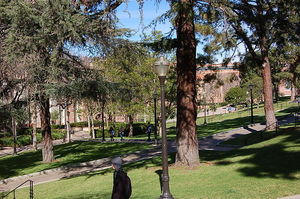 UCLA.Kerckhoff.Fowler.Lawn