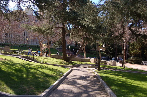 UCLA.Kerckoff.Fowler.Lawn.020