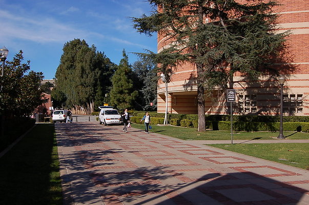 UCLA.Anderson.kaufman.Lawns