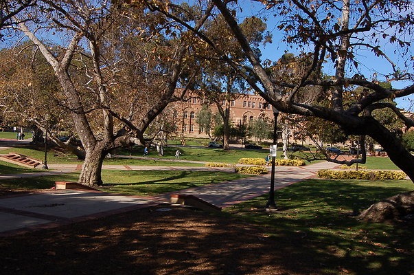 UCLA.Dickson.North.017