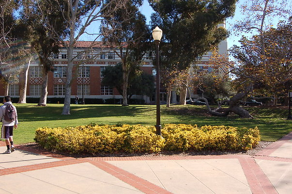 UCLA.Dickson.North.005