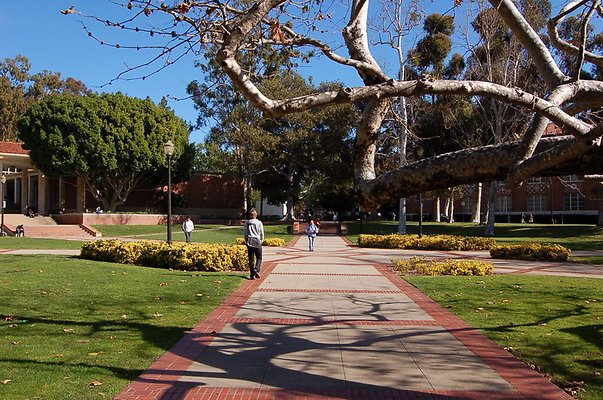 UCLA.Dickson.North.003