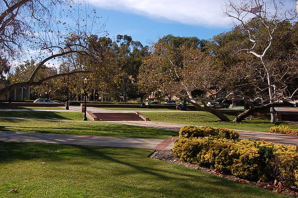 UCLA.Dickson.North.007