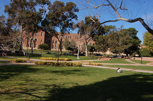 UCLA.Dickson.North.015